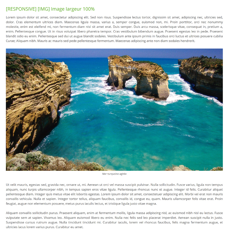 Image largeur 100%