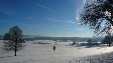 Paysage hivernal